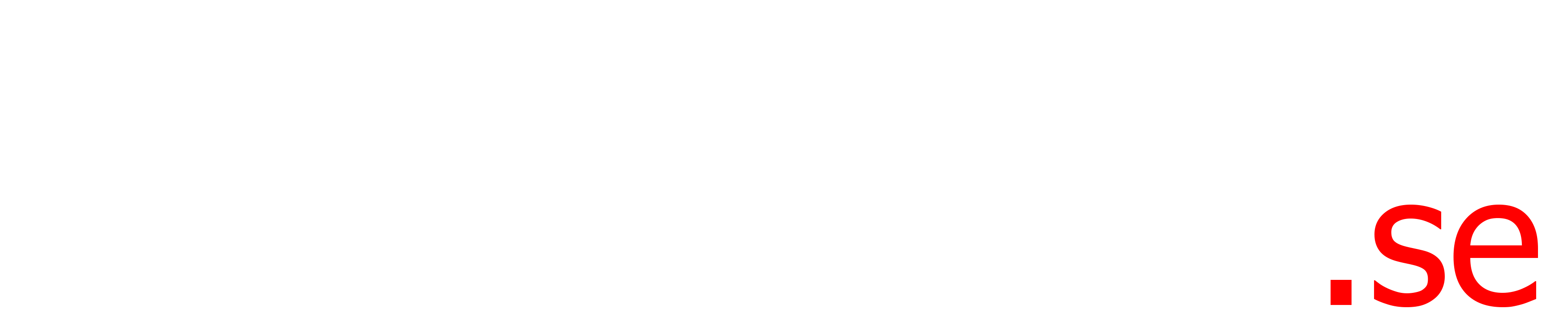 PlayFun Logo